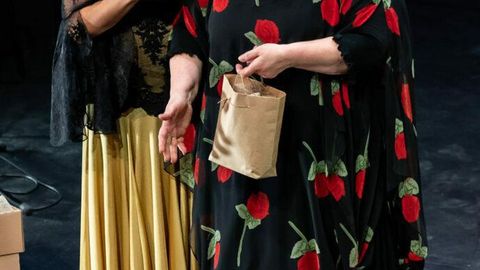 Tartlased püüavad tasapisi hääbuvat flamenkot päästa