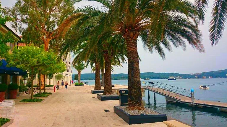 Artikli foto