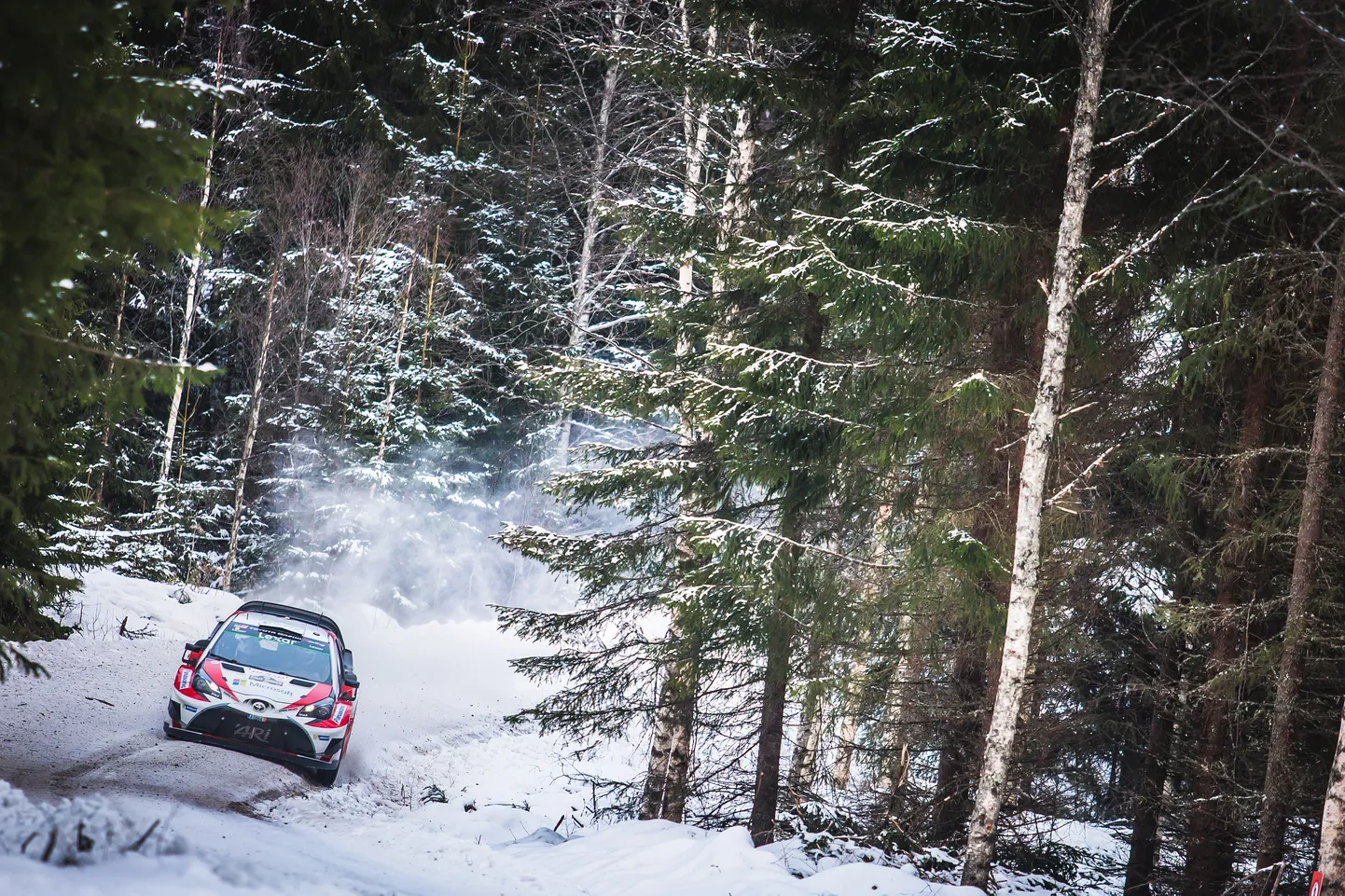 Toyota eesotsas Ott Tänaku ja Martin Järveojaga on Rootsi MM-rallil selge soosik.
