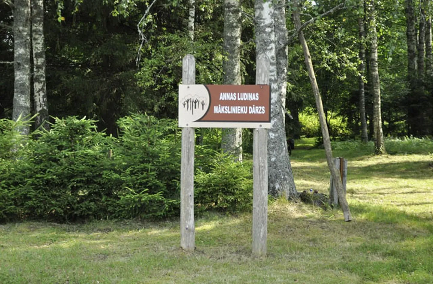 Raksta foto