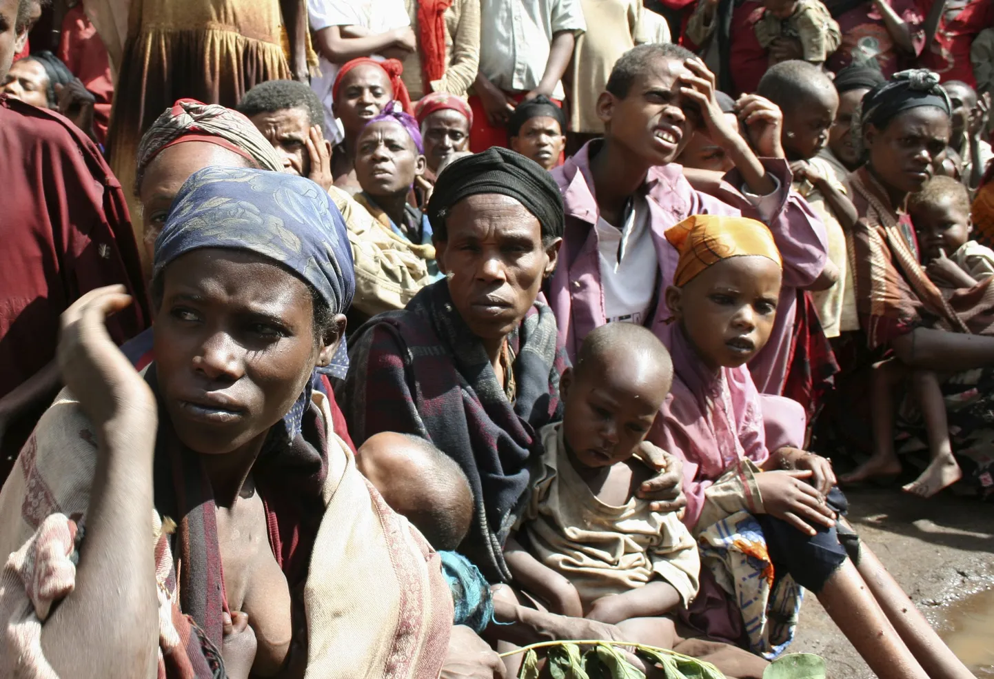 Etioopias on umbes 8,2 miljonit näljahädas inimest.