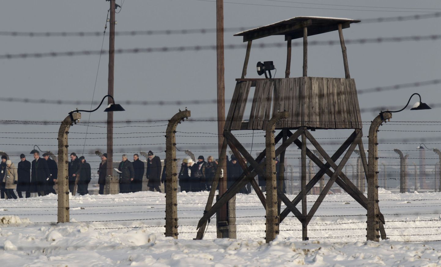 Посетители Освенцима в 65 годовщину его освобождения 27 января 2010 года.