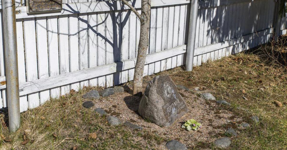 Piirivalvekoera hauale peab paremini ligi pääsema
