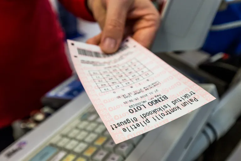 Билет Bingo Loto. Иллюстративное фото.