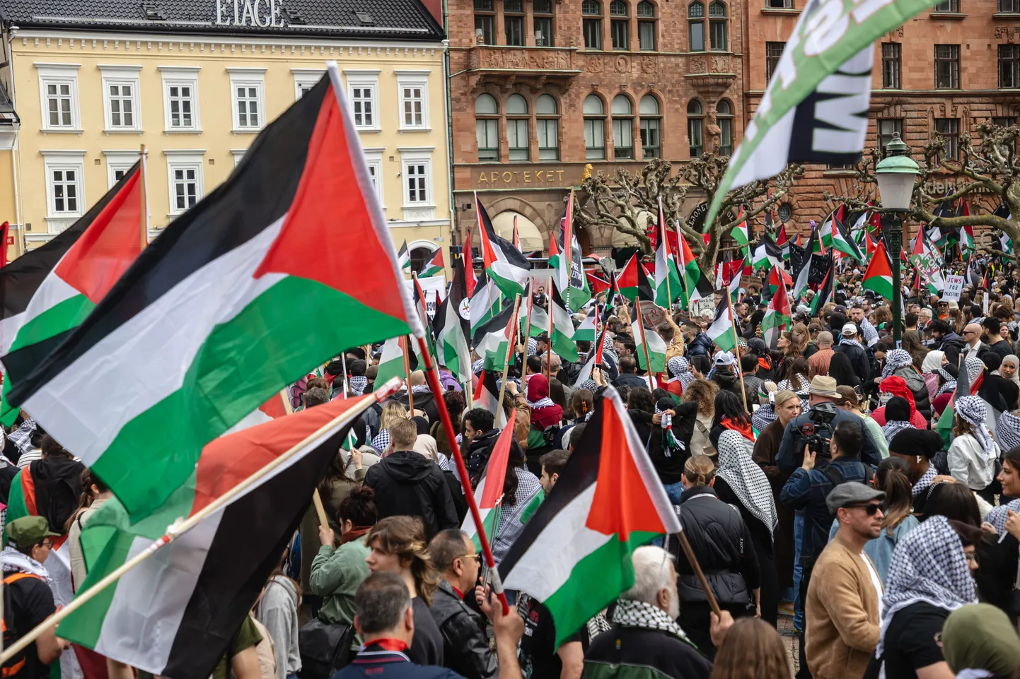 Meeleavaldus Palestiina toetuseks Malmö kesklinnas.