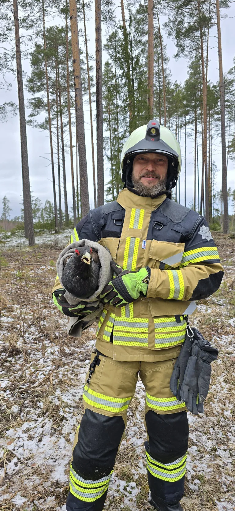 Kinnipüütud metsis Liiapeksi külas.