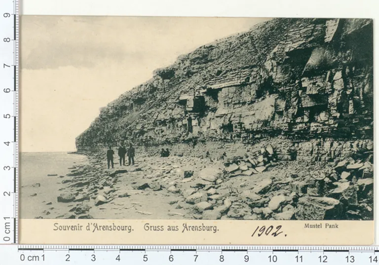 Mustjala Pank Saaremaal, 1902, ERM Fk 112:54, Eesti Rahva Muuseum,
