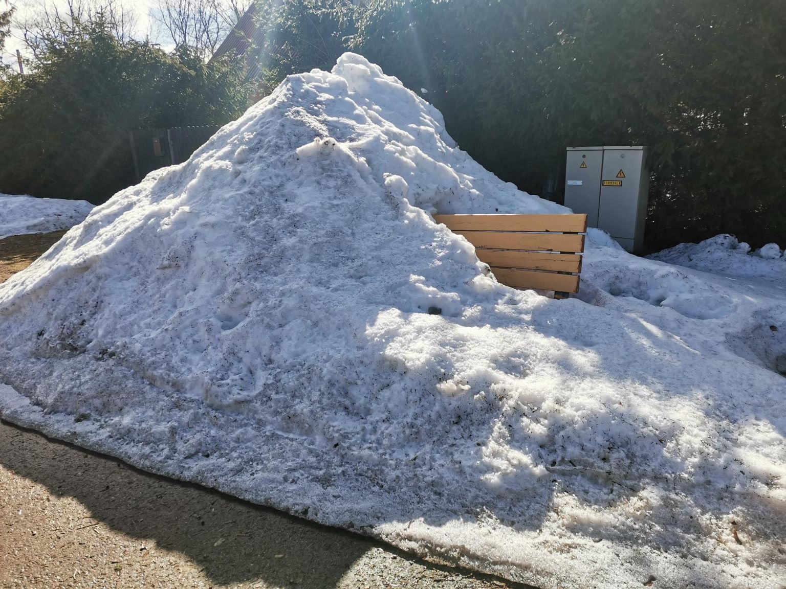 Talveunest ärkavad ka pargipingid.