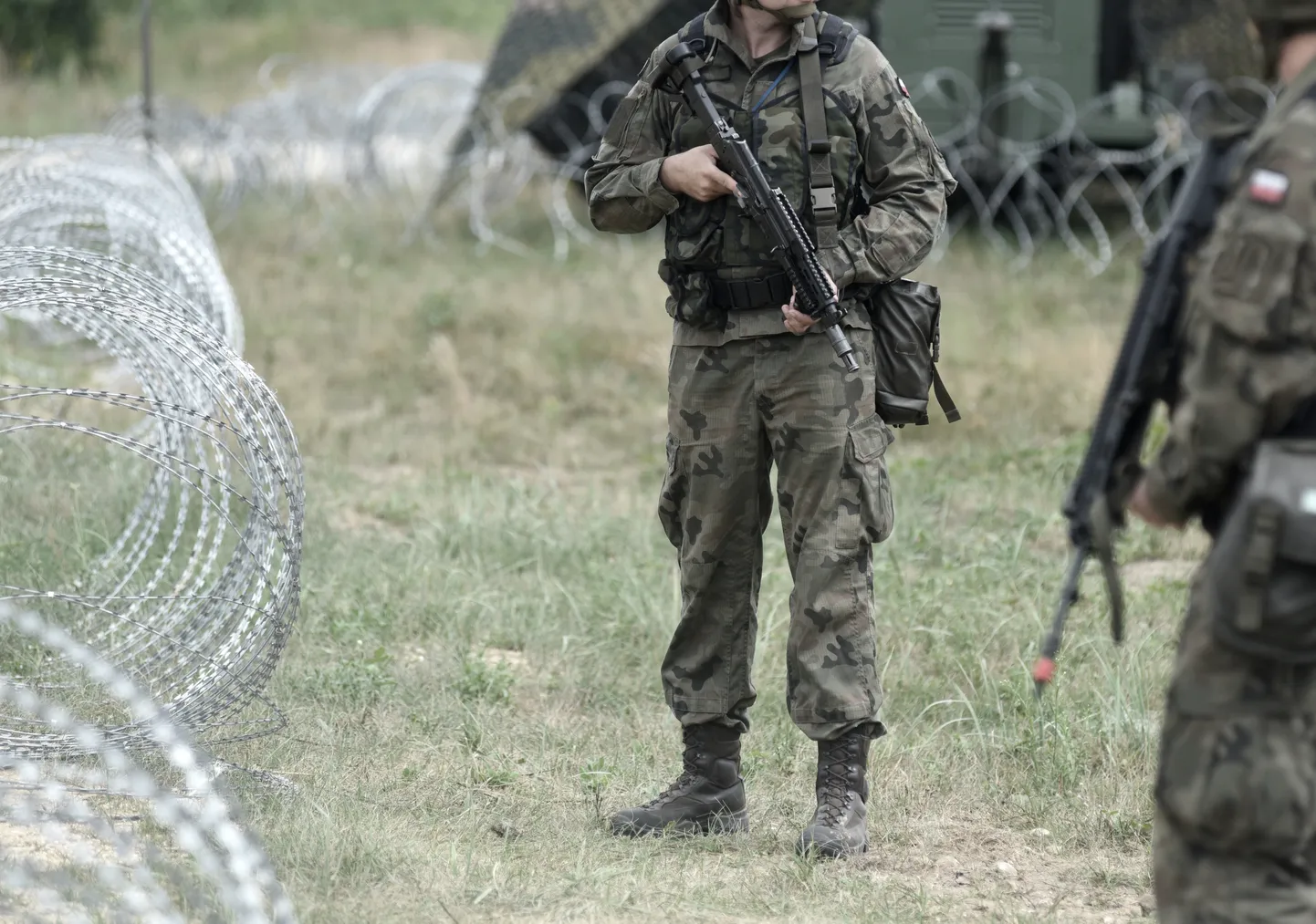 Raksta foto