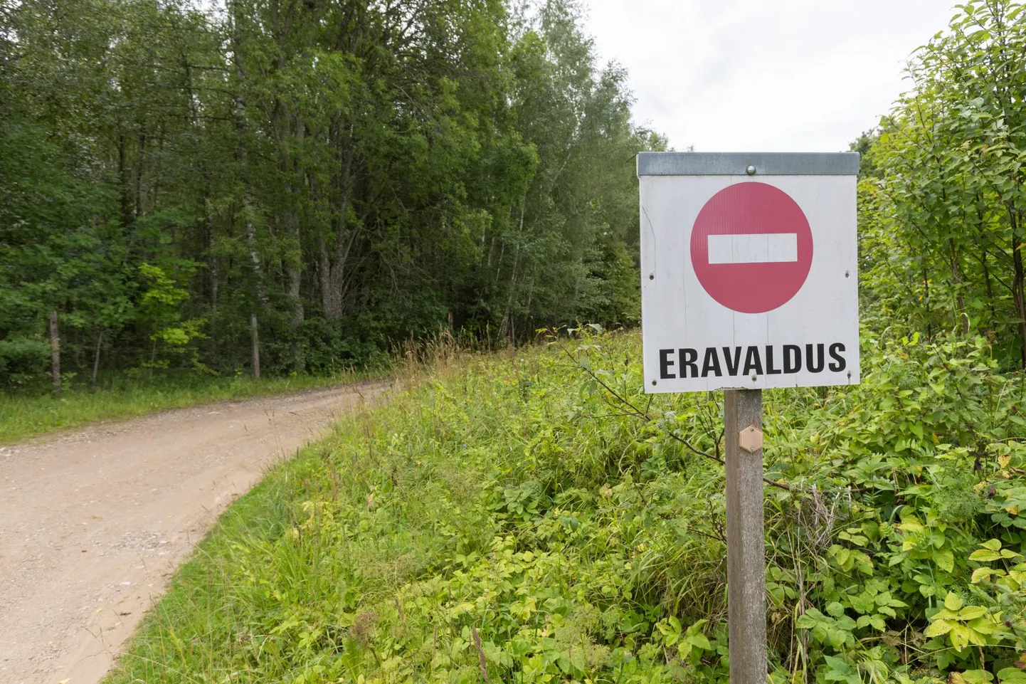 ​Enne taotluse esitamist peab tee äärest olema eemaldatud liiklemist ja kruusa laotamist takistav võsa või muu taimestik.