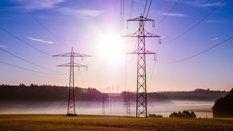 GARRI RAAGMAA ⟩ Eesti vajab juhitava energeetika võrgustikku