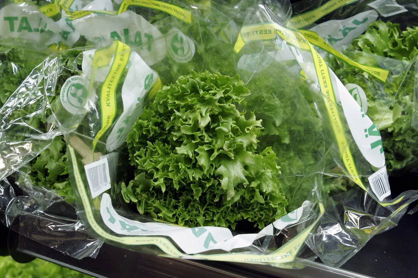 Jääsalatis leidub ohtralt B4-vitamiini ehk koliini.