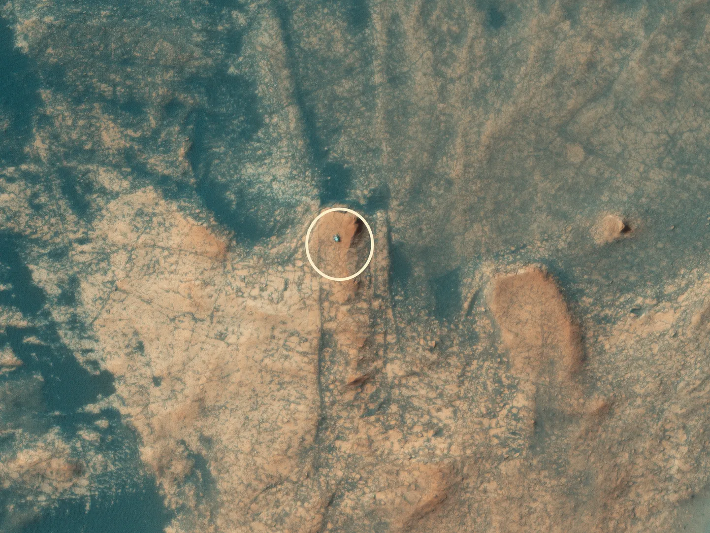 Kulgur Curiosity Marsil