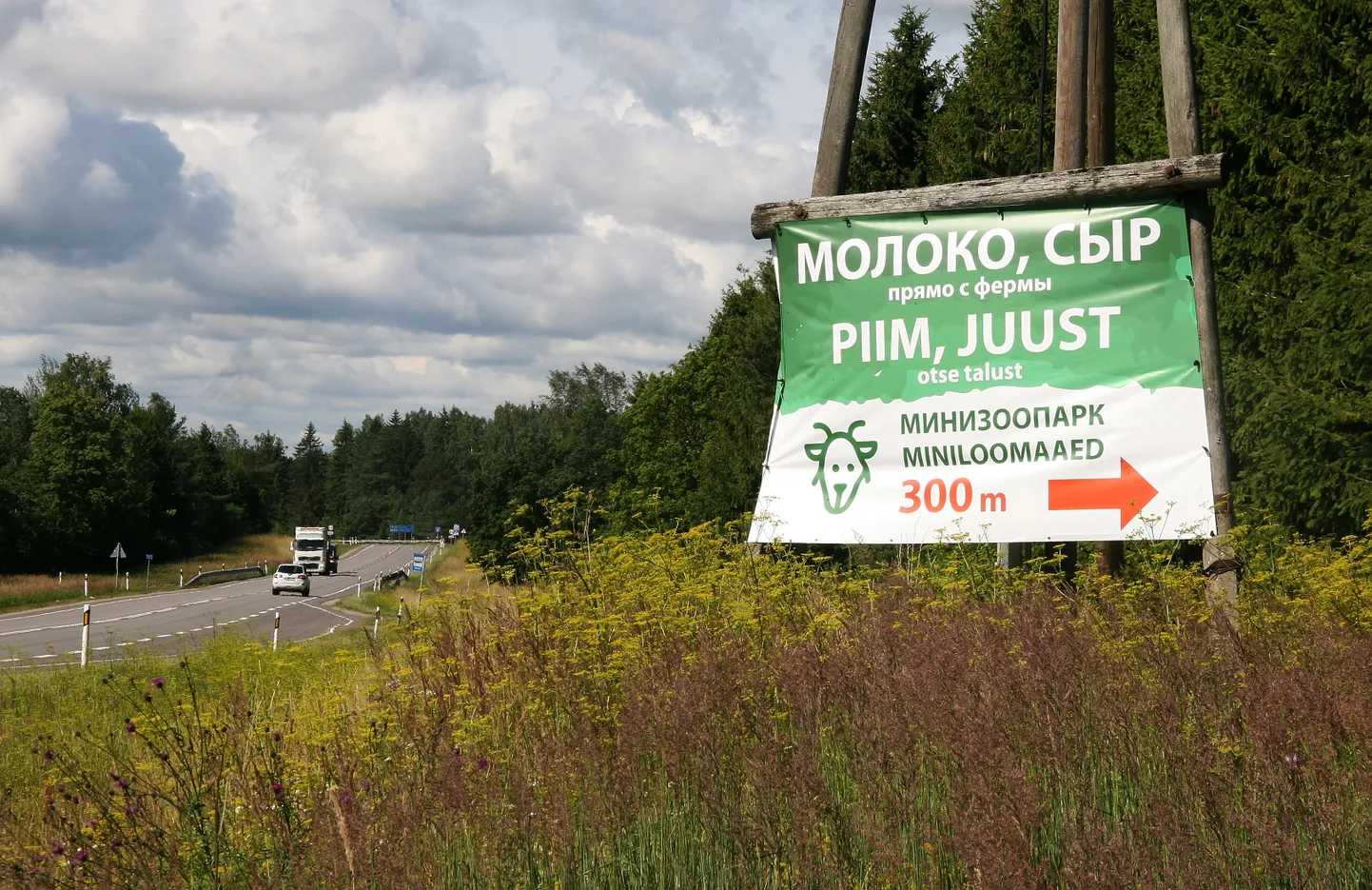 Vallavalitsus kohustas märgukirjas kitsefarmi omanikule, et see ebaseadusliku reklaami 12. juuliks maha võtaks, kuid reede keskpäeval oli see veel alles.