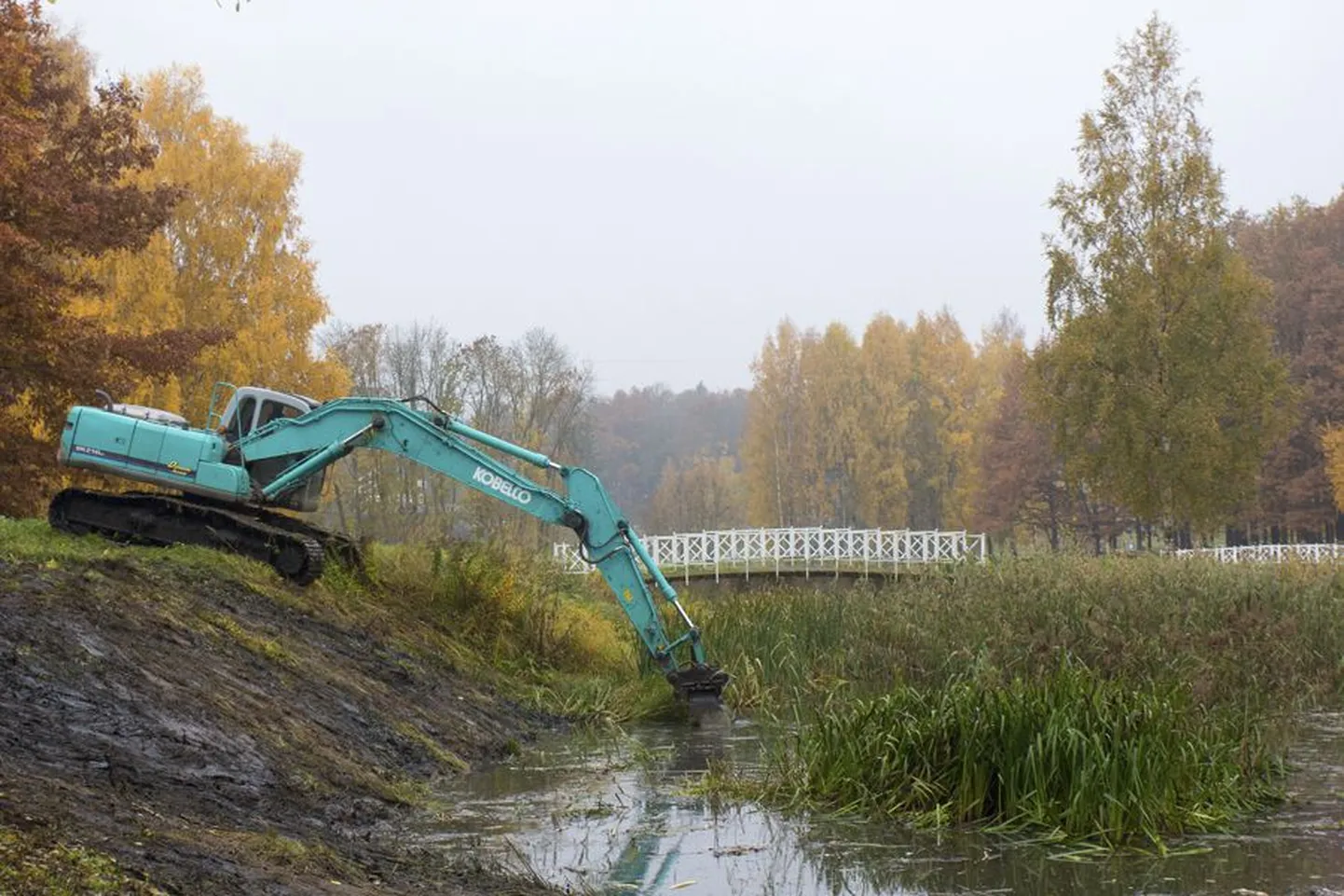 Osaühingu Melior-M ekskavaator puhastab oja ja silub kaldaid.