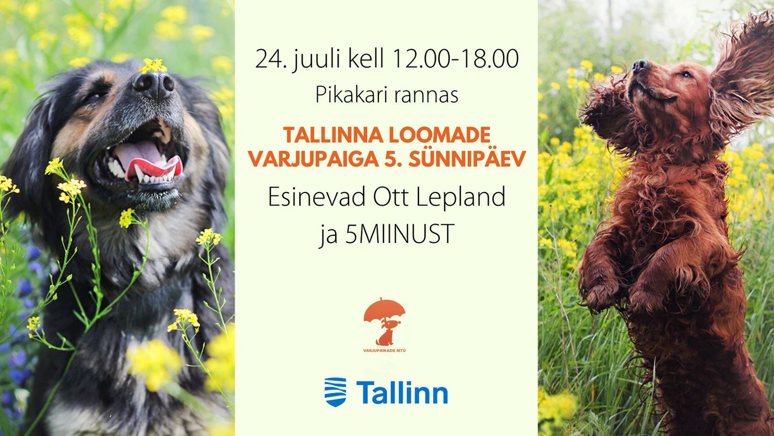 Tallinna loomade varjupaiga sünnipäeval osalevad 5MIINUST ja Ott Lepland