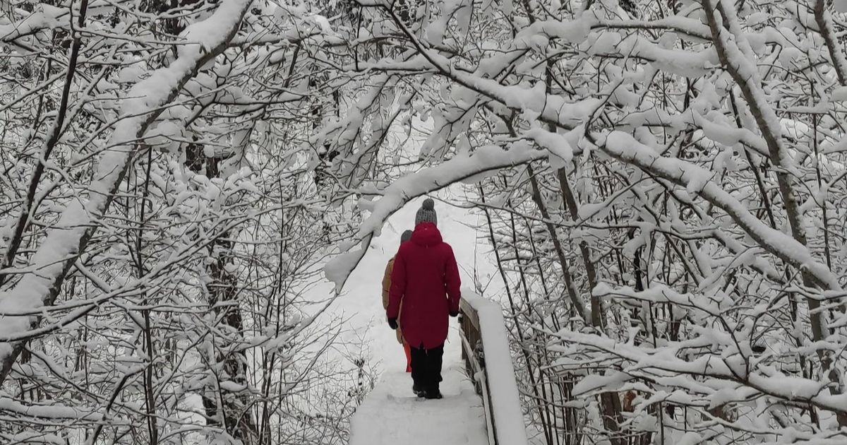 Viidumäe – un loc unde poți asculta liniștea