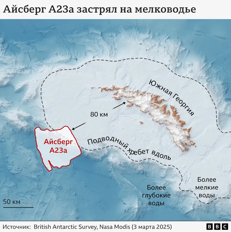 Графика