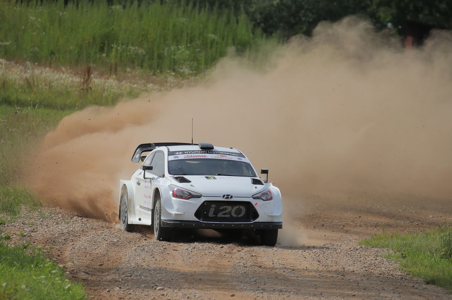 Hayden Paddoni valge Hyundai i20 WRC.