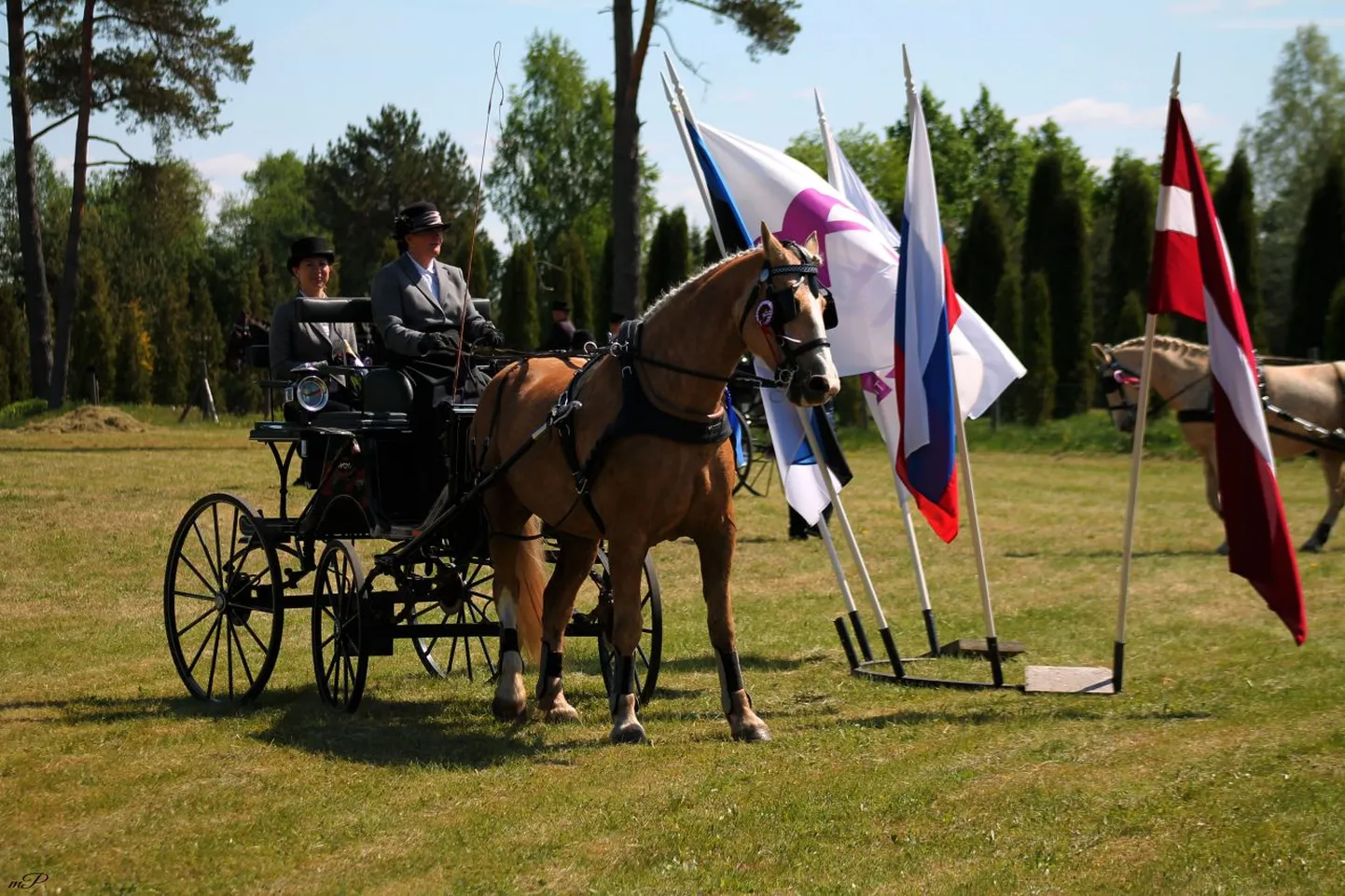 Eve Haggi ja Vairi võitjatena.