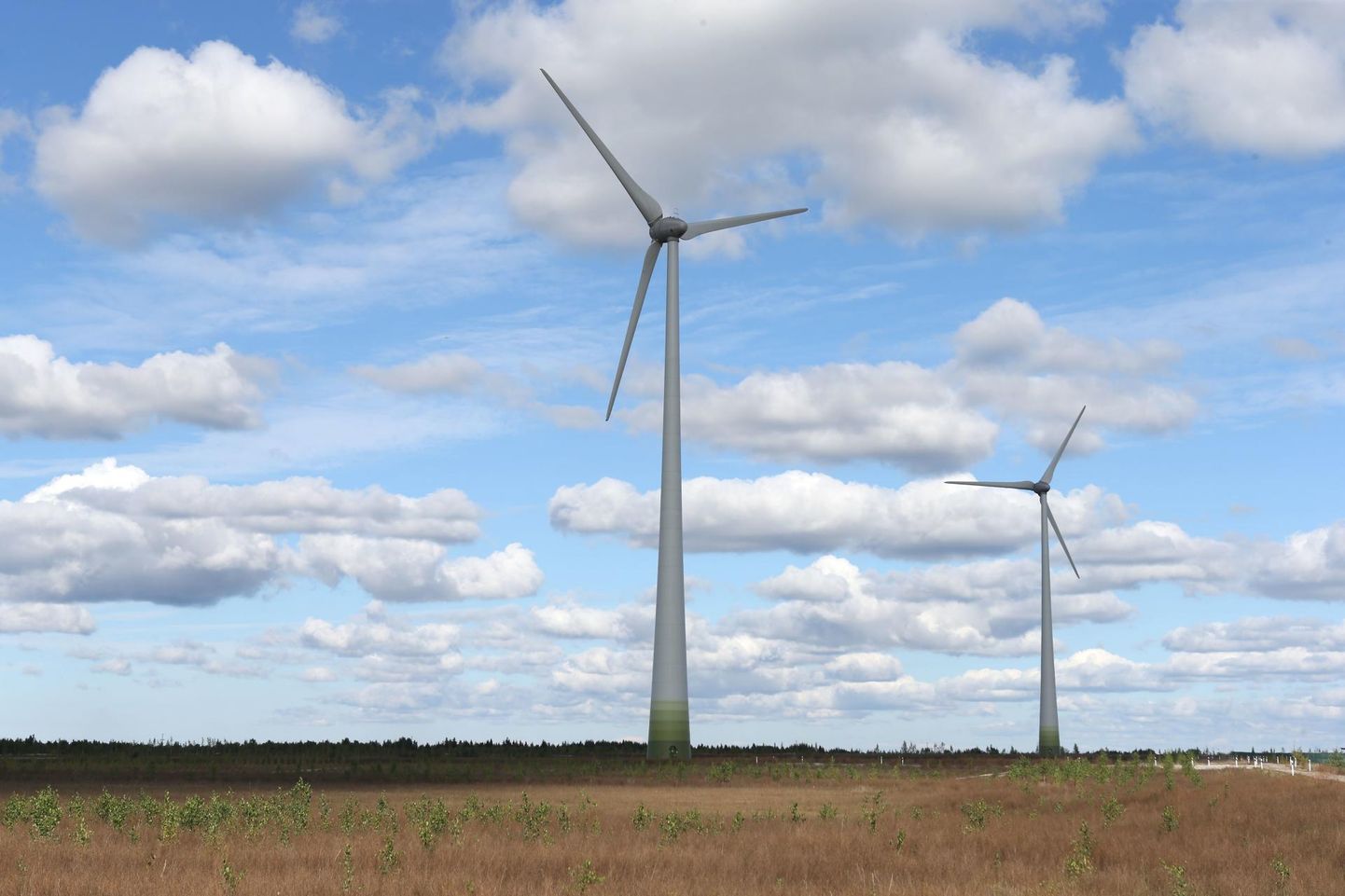 Tuulikute toetuseks läheb 29% taastuvenergia tasust.