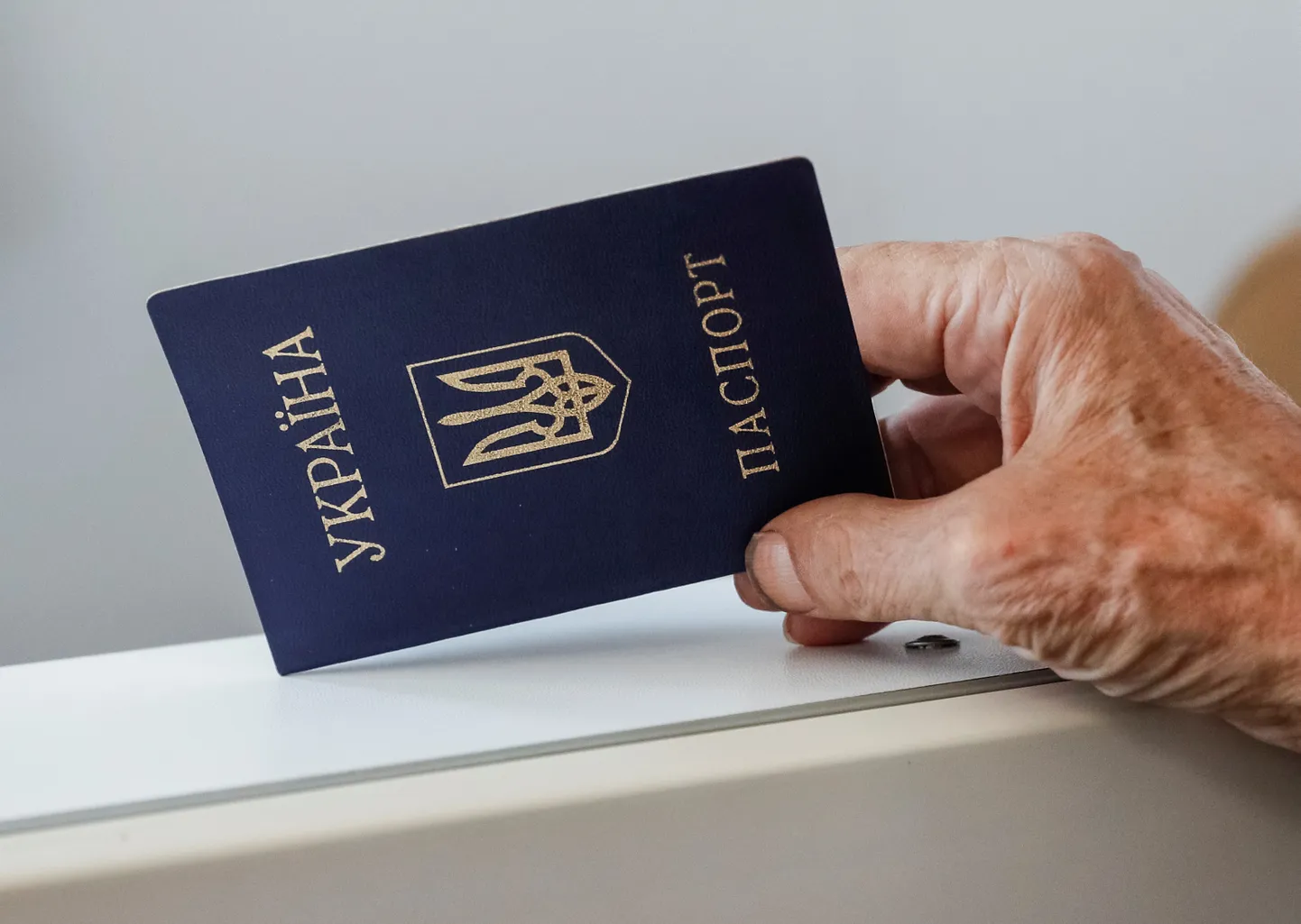 Паспорт гражданина Украины.
