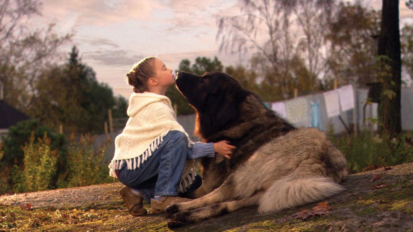 «Torm»: väikese tüdruku ja koguka koera sõprus.
