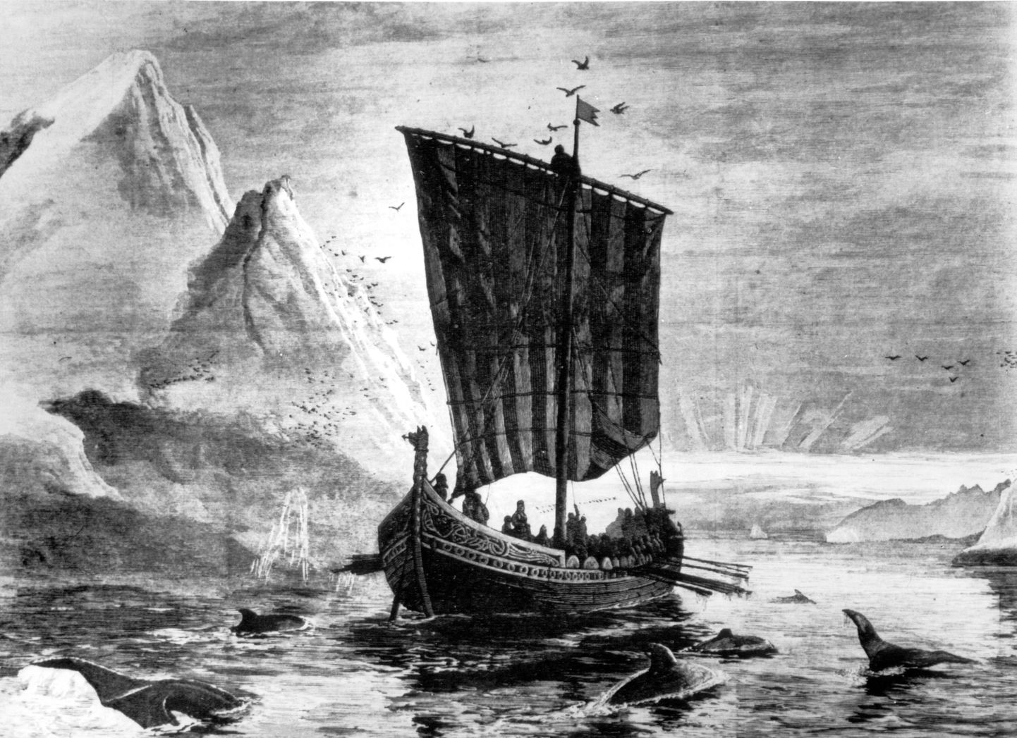 Vikingite laev, Carl Rasmussen.
