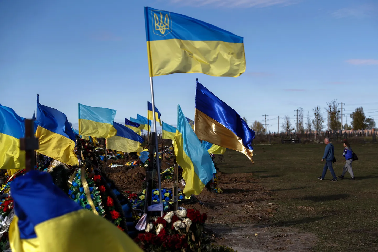 Украинские флаги