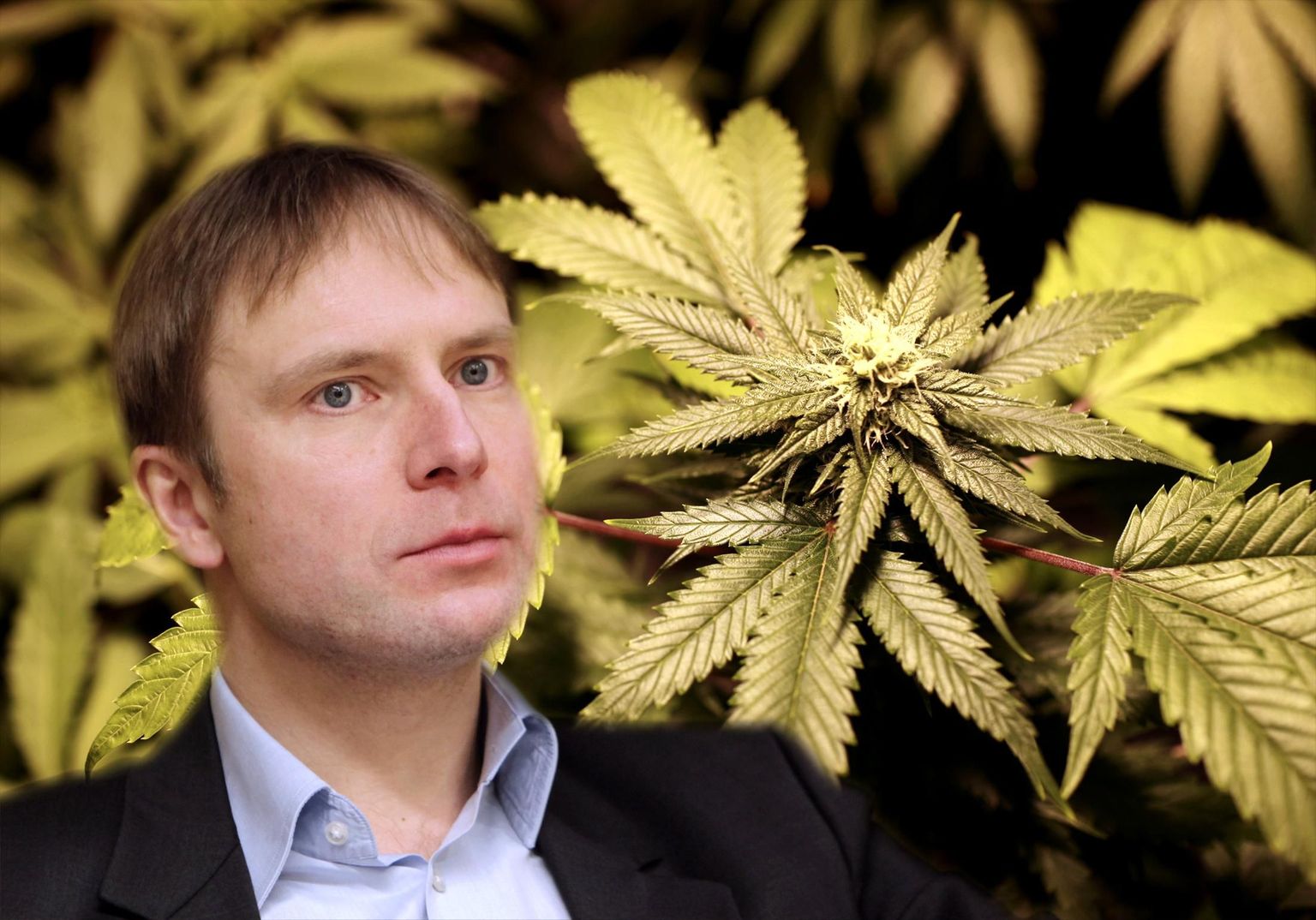 Eerik-Niiles Kross usub, et ka Eestis saabub päev mil kanep legaliseeritakse