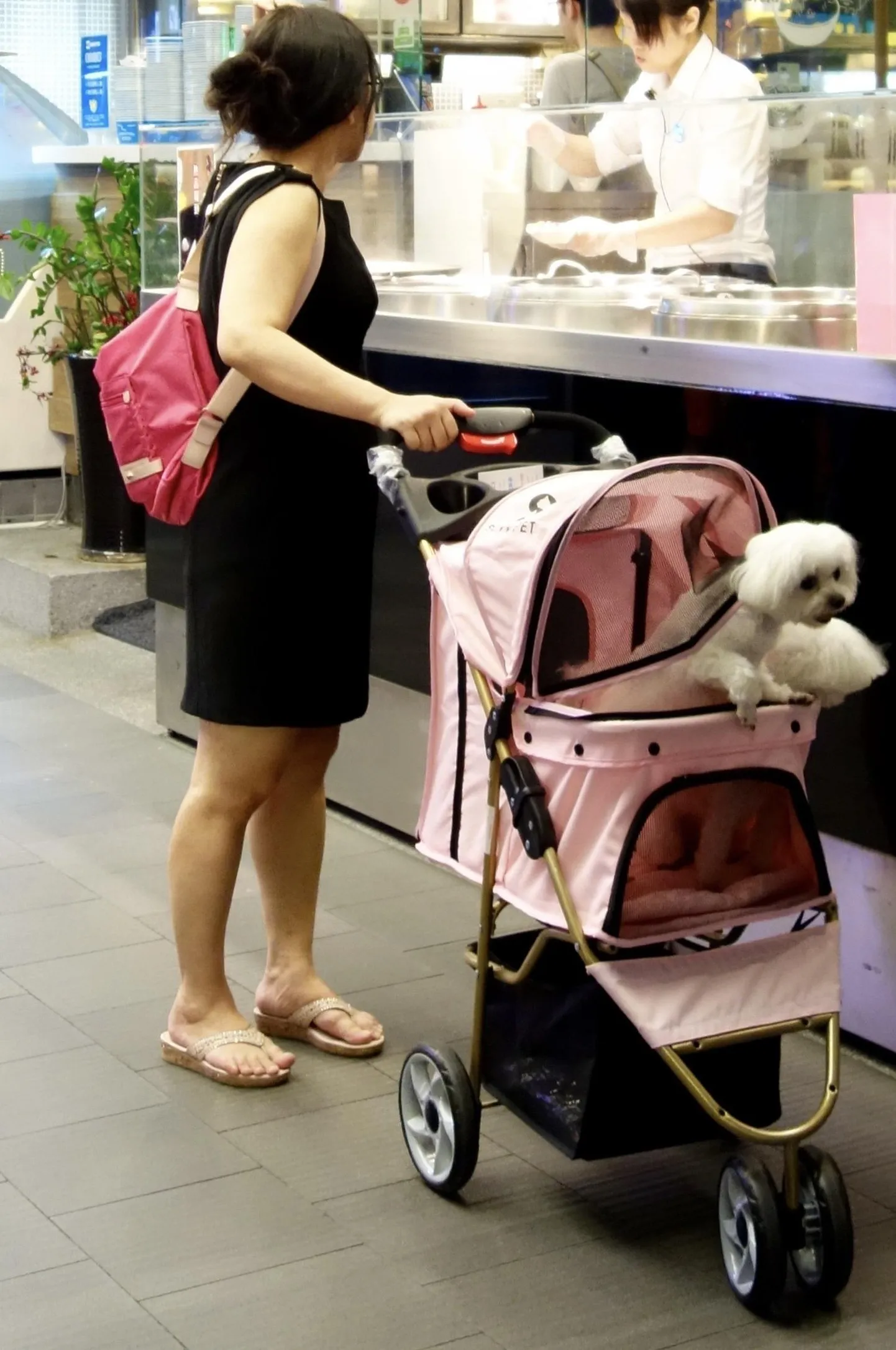 Üha ägenev konkurents paneb lastest loobuma, lohutust leitakse nunnudest lemmikloomadest. Taipei naine koerakesega.
Samas on Taiwani sündimuskordaja langenud juba alla 0,9.
