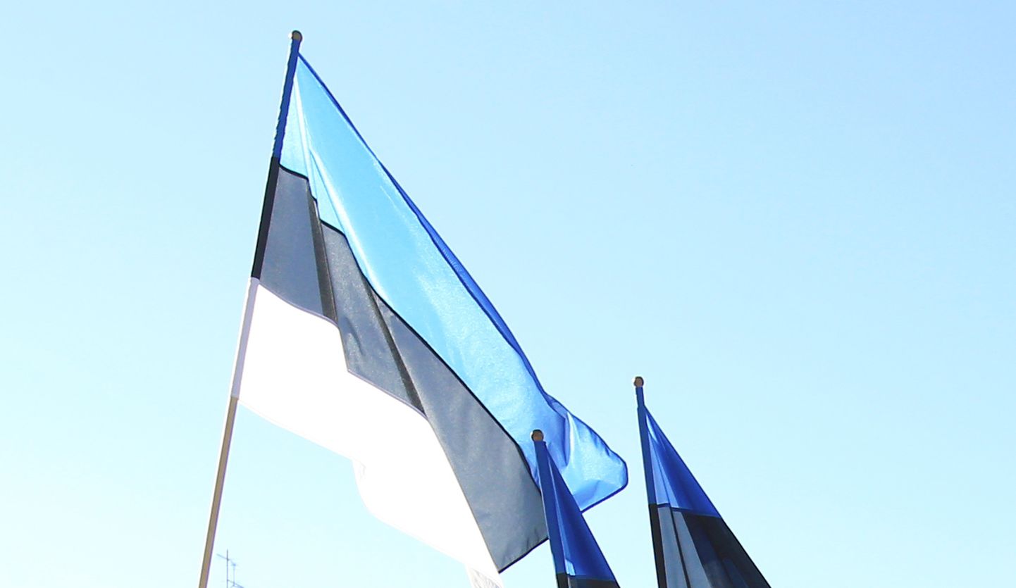 Viljandi turu parklas ja selle kõrval õunaaias tähistatakse täna kella 10-st Eesti taasiseseisvumise päeva.