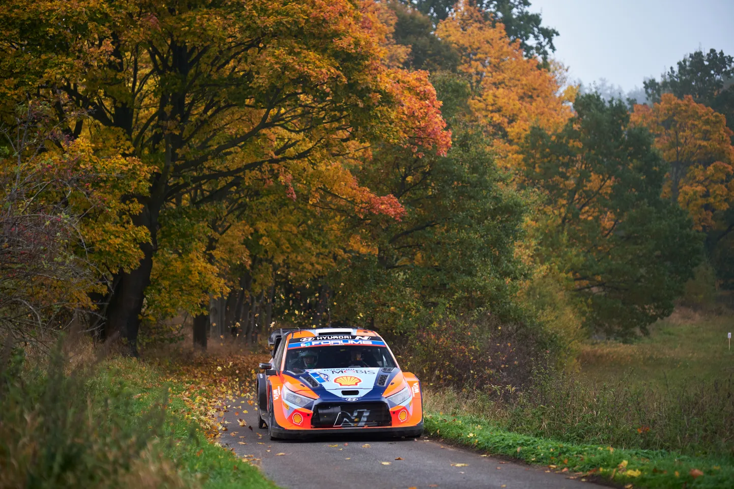 Ott Tänak ja Martin Järveoja Kesk-Euroopa rallil.