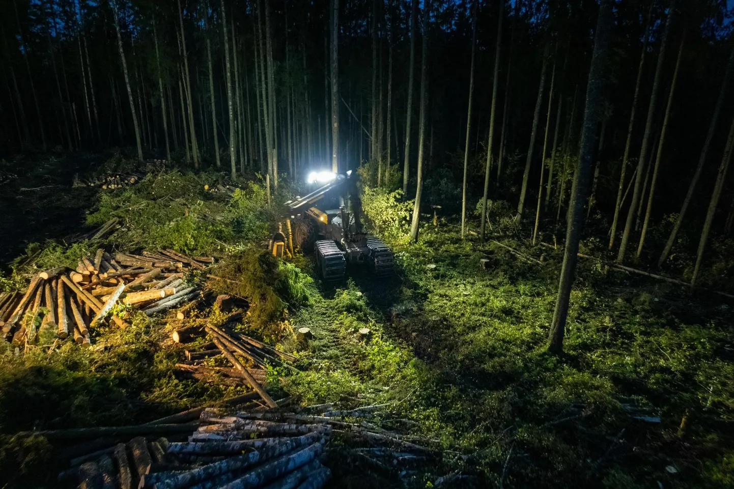 Harvester on moodsa ajastu kratt, kes peab tegema kogu aeg tööd, nii öösel kui ka päeval, nii suvel kui ka talvel. Muidu viib liisingufirma sinu hinge.