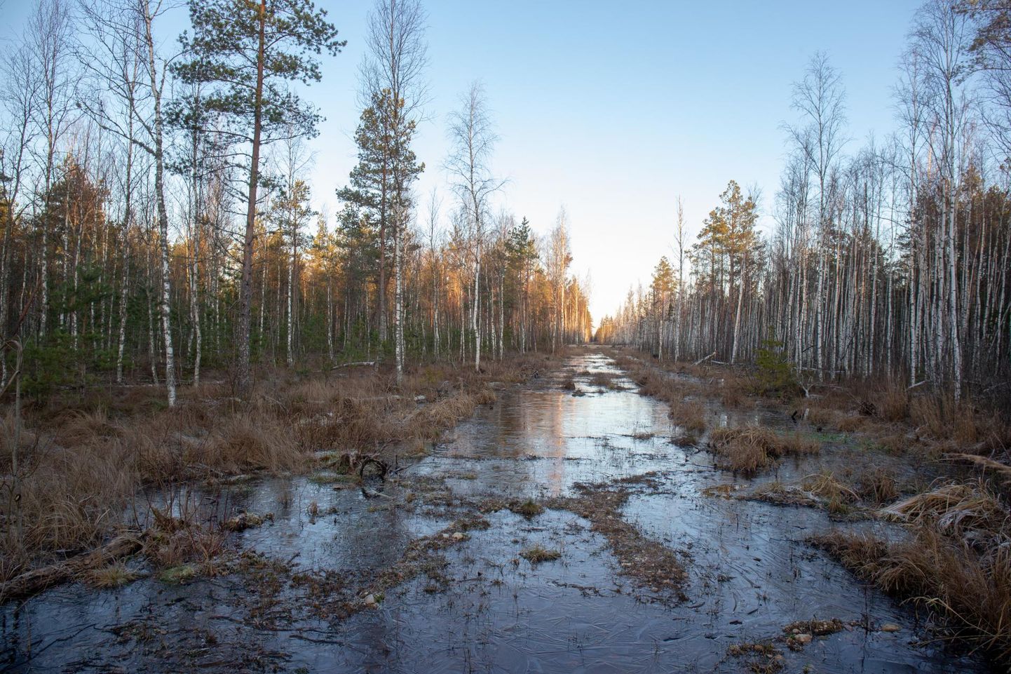 Soomaa rahvuspark sai Euroopa kaitsealade liidult kvaliteedimärgi, mis näitab, et turismi arendatakse siin loodust hoidvate põhimõtete järgi.