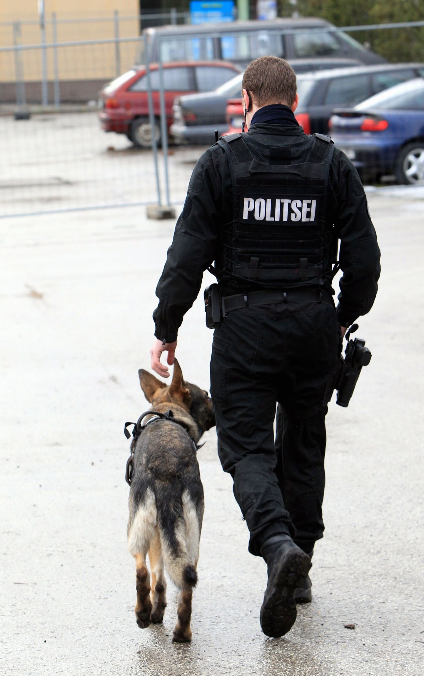 Полицейская собака за работой.