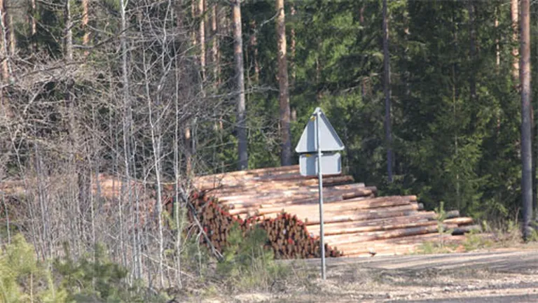 Raksta foto