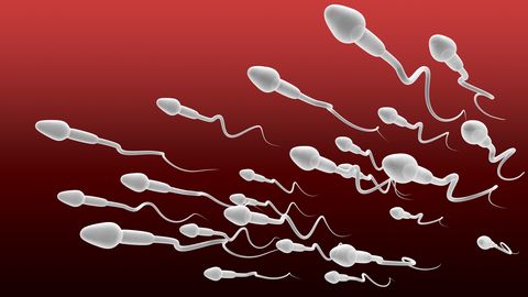 5 olulist sammu tervisliku ja viljaka sperma heaks