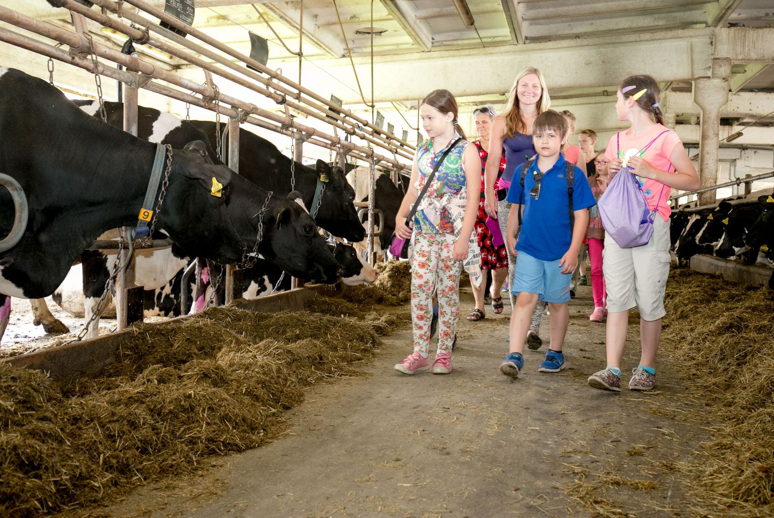 Koolilastele üle Eesti pakutakse võimalust külastada põllumehi, kes kuuluvad Eesti parimate piimatootjate hulka.