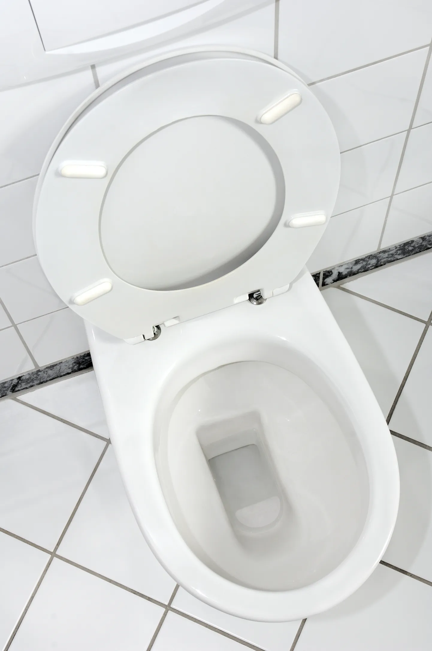 Šoti mees kulutas terve oma varanduse tualettpoti loomisele.