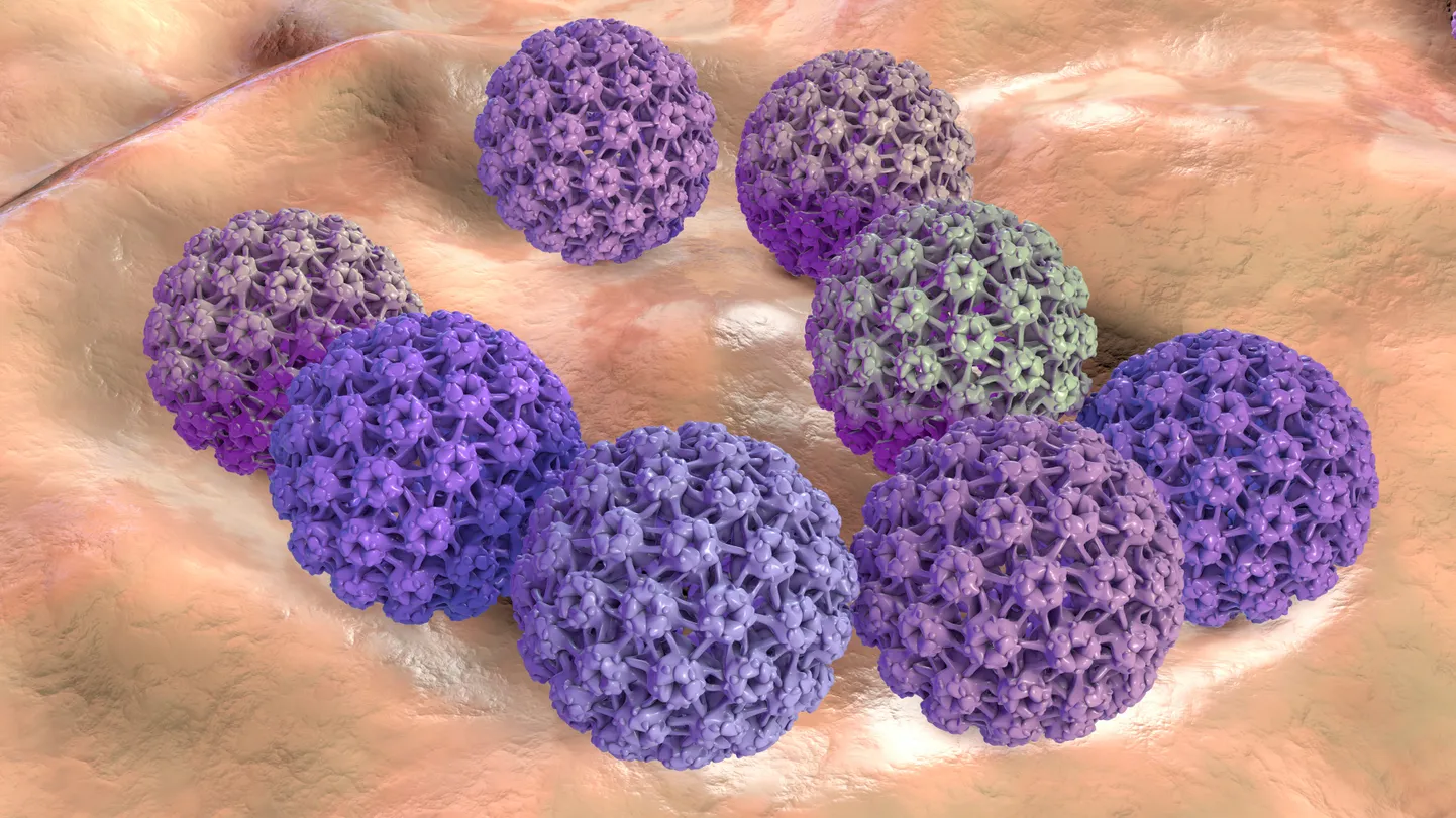 HPV