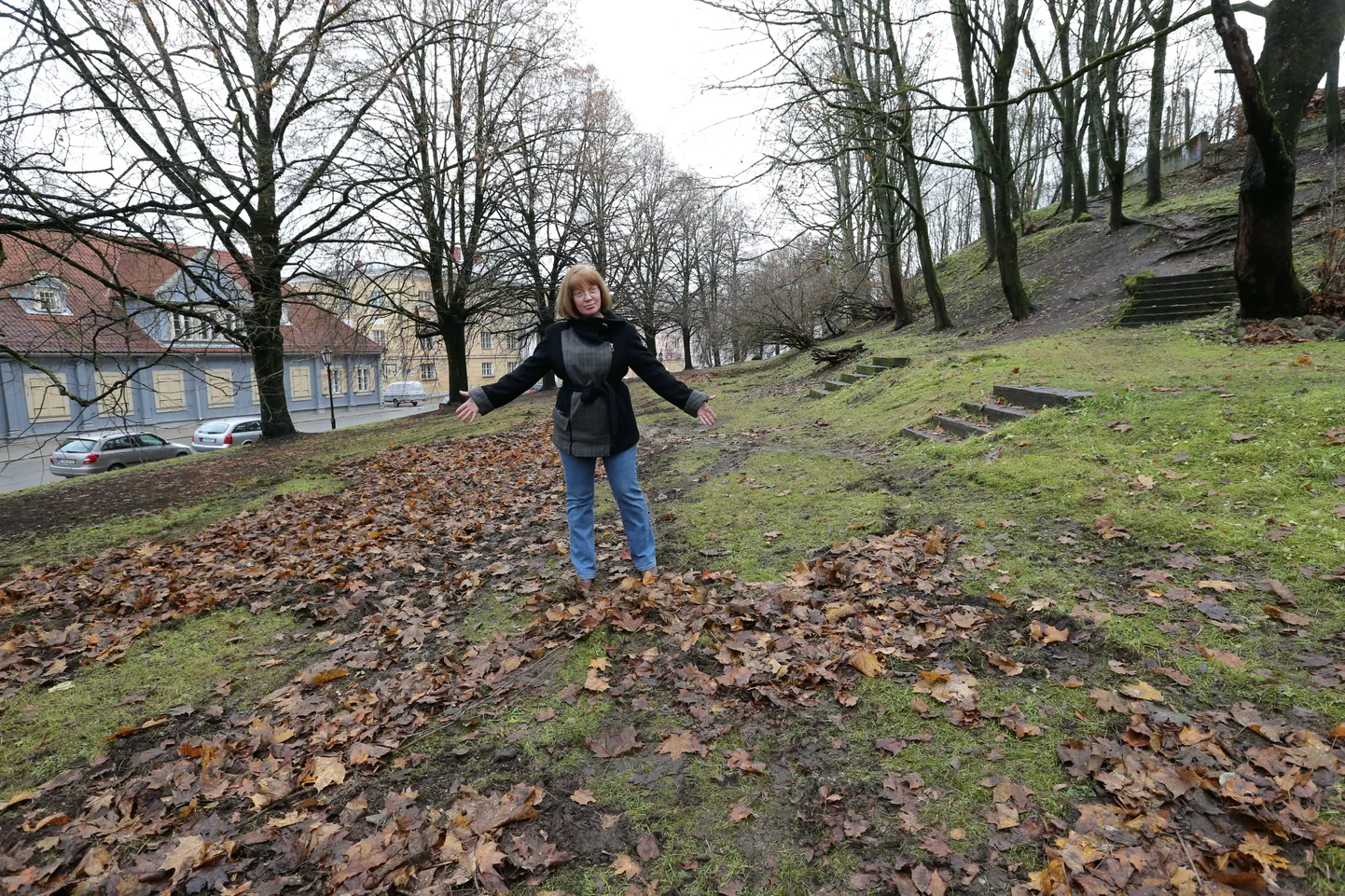 Toomemäel elav kunstnik Marina Tšernobai on väga pahane Toome nõlval sügiskoristust teinud hooldusfirma OÜ HKP ja linnavalitsuse peale, sest nõlvalt autoga lehti ära viies jäid maha suured koledad jäljed, mille hooldusfirma on katnud lehtedega.