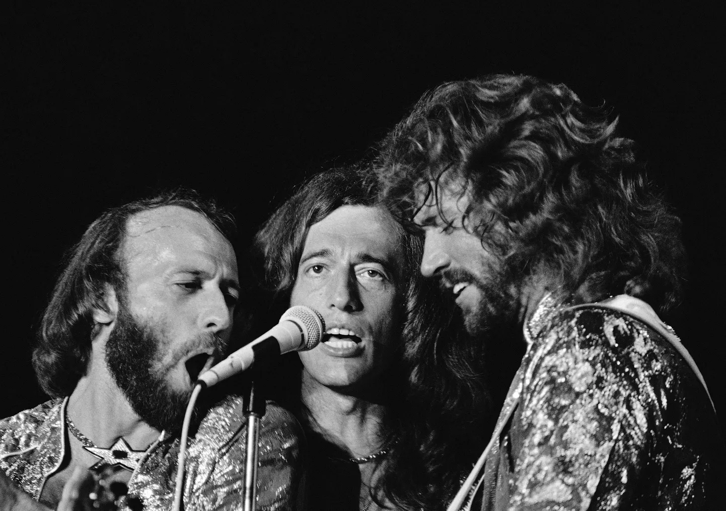 Maurice, Robin ja Barry Gibb ansamblist Bee Gees 1979. aastal