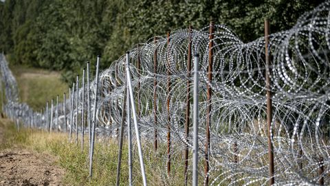 Подсанкционные товары будет сложнее провезти: граничащие с РФ страны ужесточают контроль