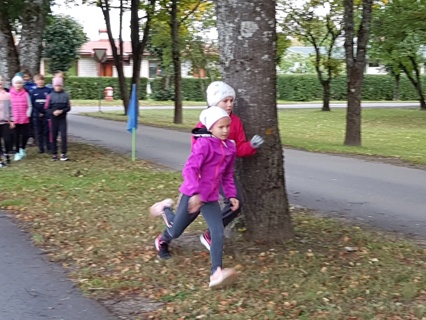 Ümber puude sik-sak jooks nõub lisaks kiirusele ka osavust..