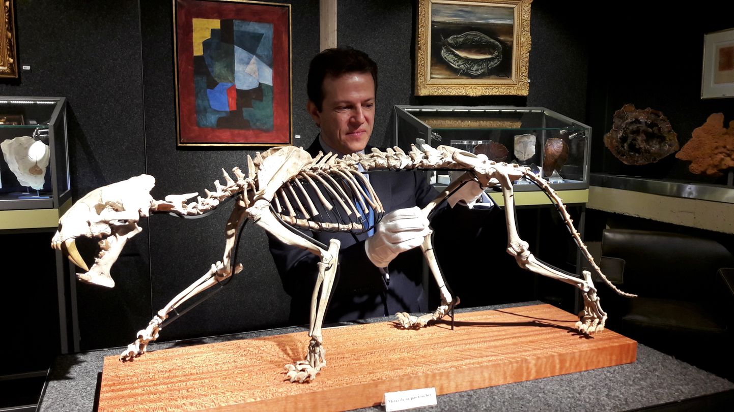 Piguet' oksjonimaja omanik Bernard Piguet' koos mõõkhambulise tiigri skeletiga