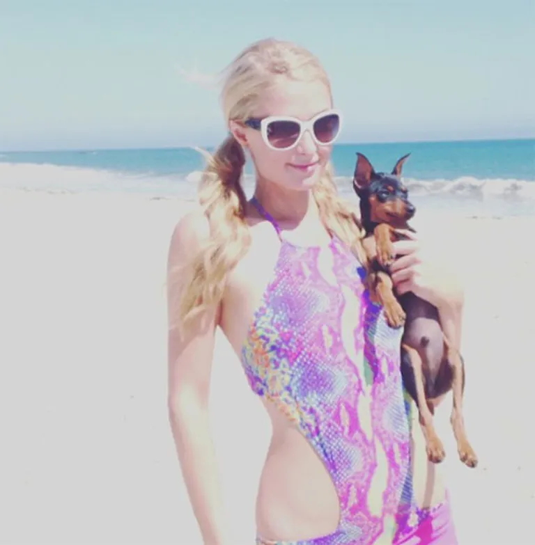 Пэрис Хилтон: "Прекрасный день на пляже вместе с @DollarThePuppy. ;) #Malibu"