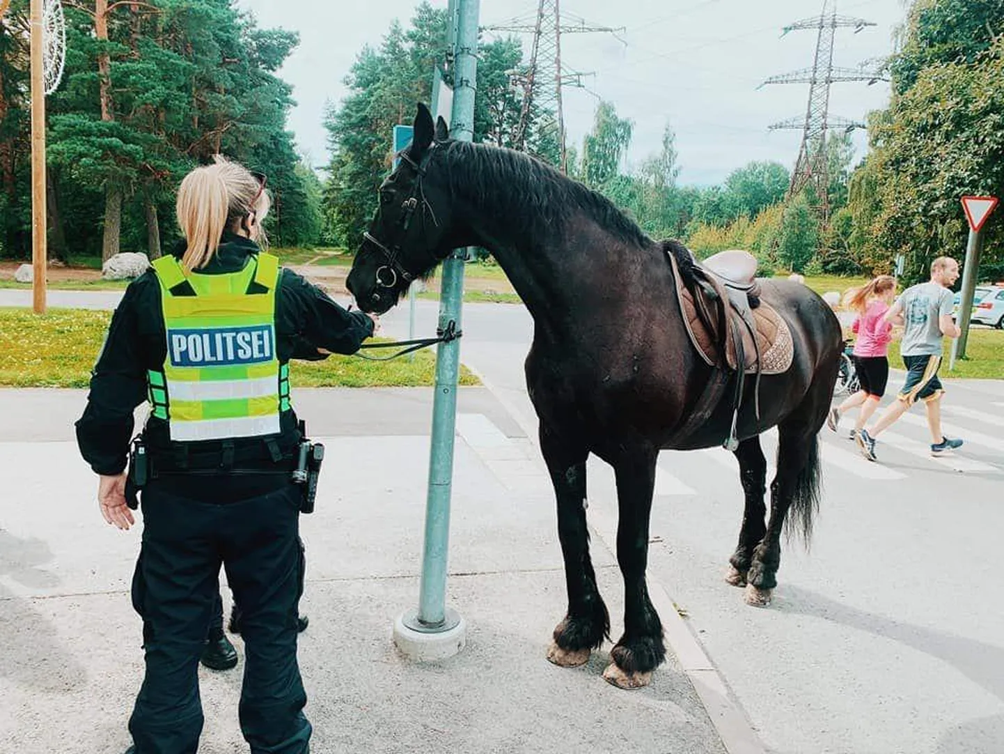 Tallinnas jooksis ringi hobune.