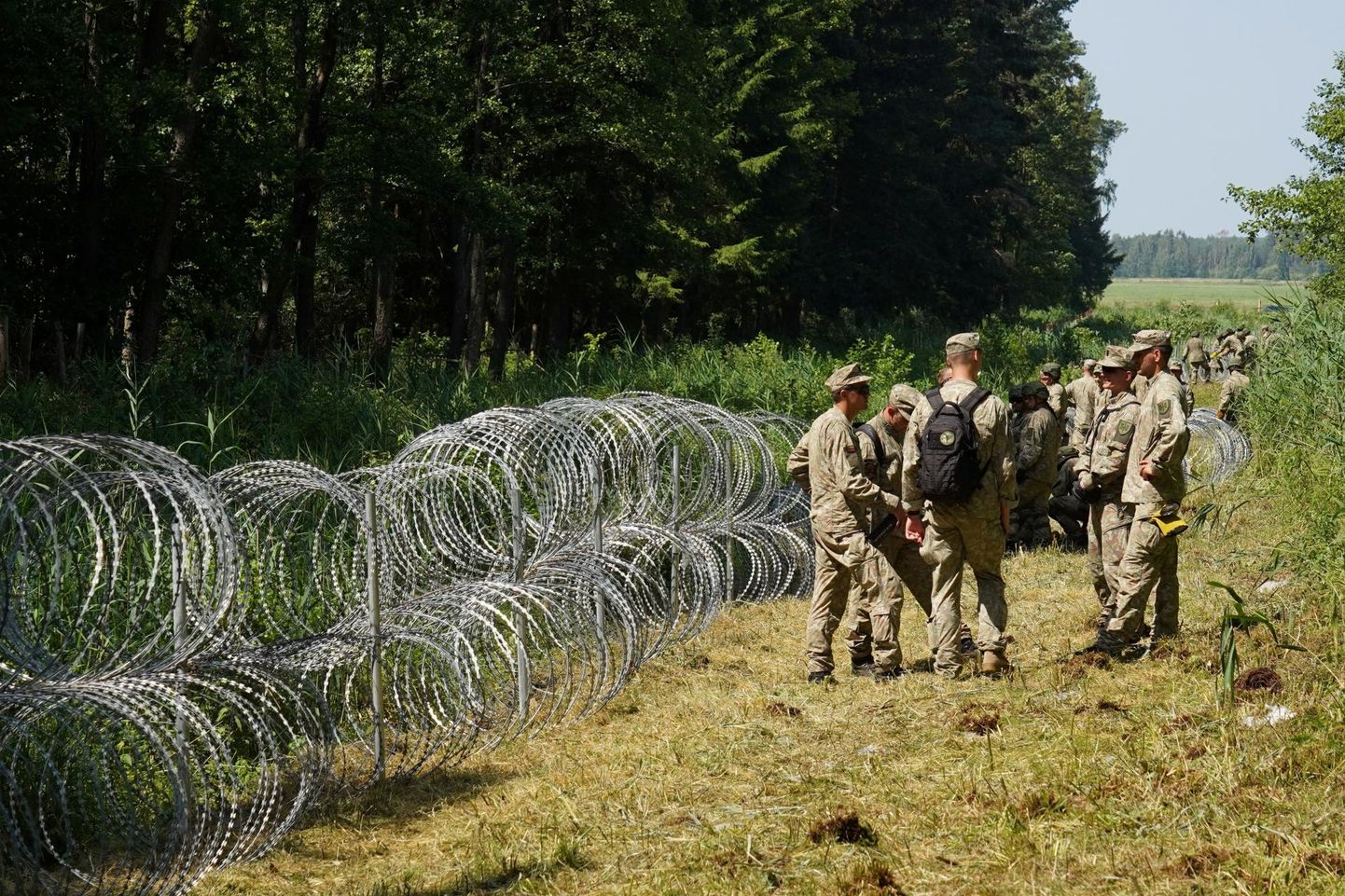 Leedu kaitseväelased Druskininkai piiritsooni lõiketraati paigaldamas. FOTO: Jānis Laizāns/Reuters/Scanpix