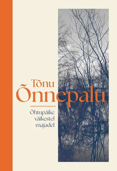 Tõnu Õnnepalu, «Õhtupäike väikestel majadel».
